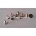 Micro Screw, Fastener, Metal Rivet Pin & cold forging part